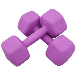Гантели FitTronic HGR 2x3kg (Pink) Thumb