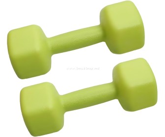 Гантели FitTronic HGR2x2 2Kg (Green)