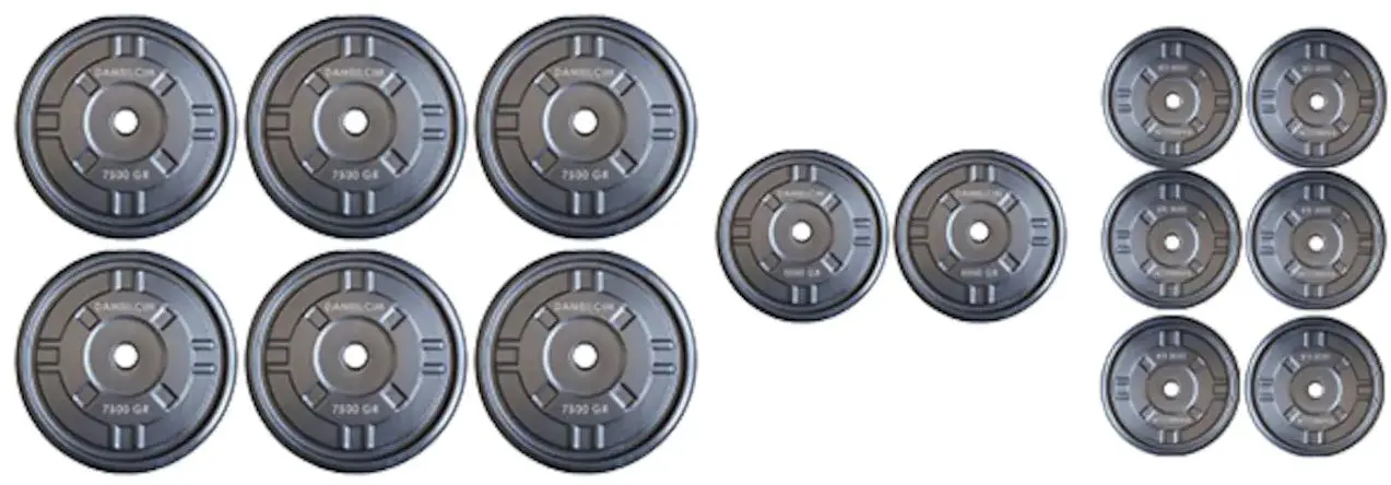 Set gantere + haltera FitTronic GR75 75kg (Black)