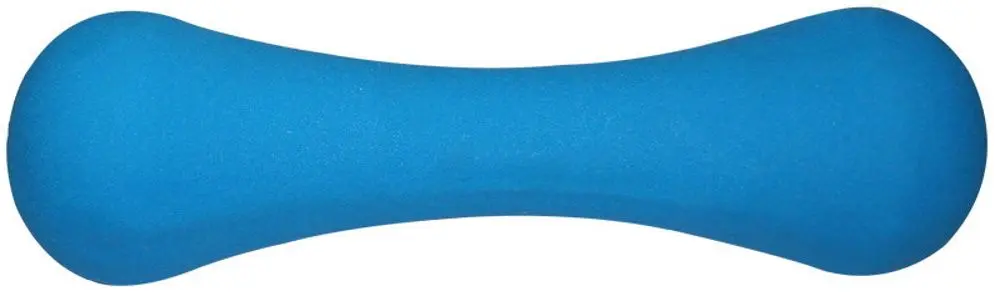 Гантель HMS 17025 2kg (Blue)