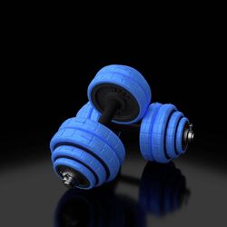 Gantere-haltera 2in1 HMS SGG30 30kg (Black/Blue) Thumb
