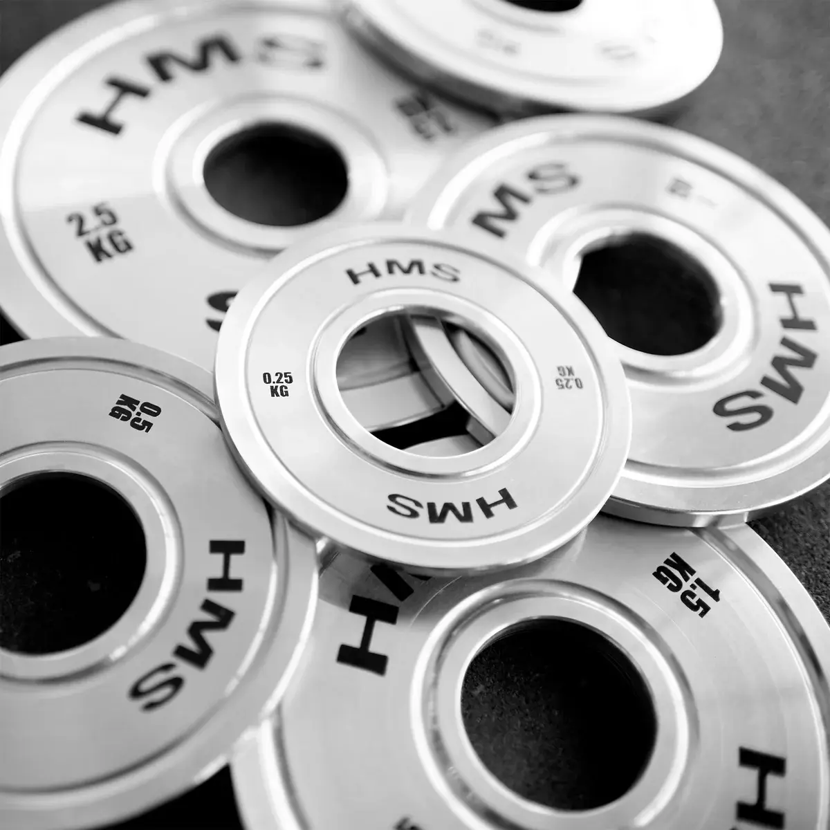 Набор дисков HMS TOS02 2x0.25kg (Silver) - 3