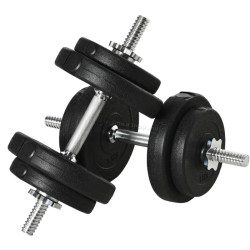 Гантель HomCom 25kg (Black/Silver)
