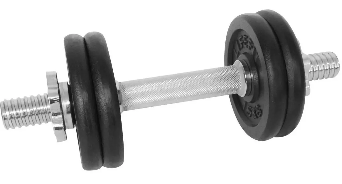 Гантель LifeFit F-CIN-08-2 8kg (Black/Silver)