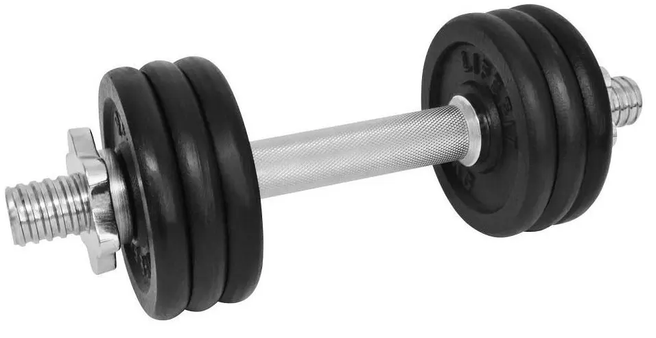 Гантель LifeFit F-CIN-08-3 8kg (Black/Silver)