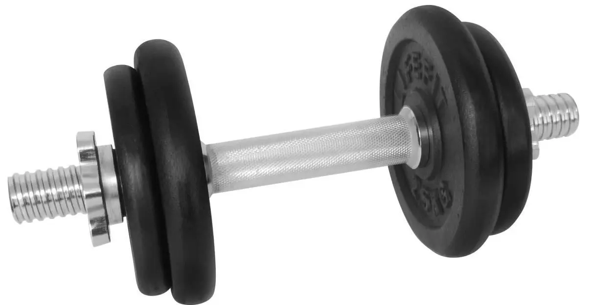 Гантель LifeFit F-CIN-10-2 10kg (Black/Silver)