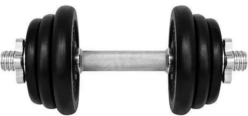 Гантель LifeFit  F-CIN-12-3 12kg (Black/Silver)