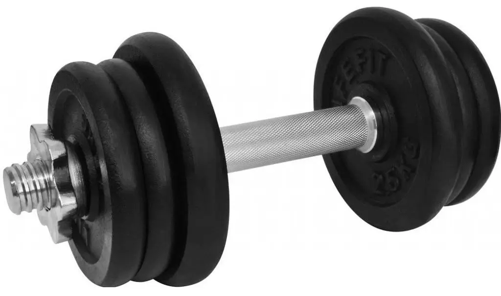 Гантель LifeFit F-CIN-13-3 13kg (Black/Silver)
