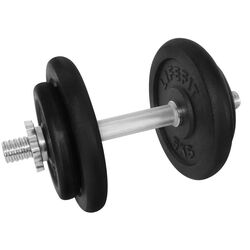 Гантель LifeFit F-CIN-17-3 17kg(Black/Silver) Thumb