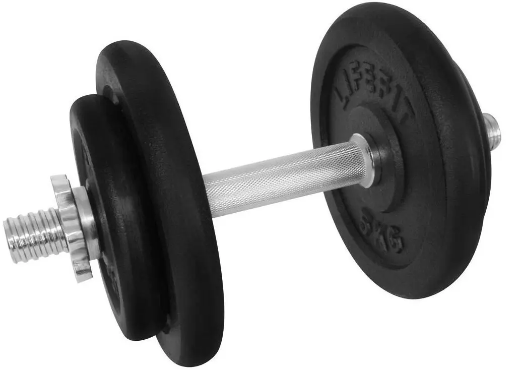 Гантель LifeFit F-CIN-17-3 17kg(Black/Silver)