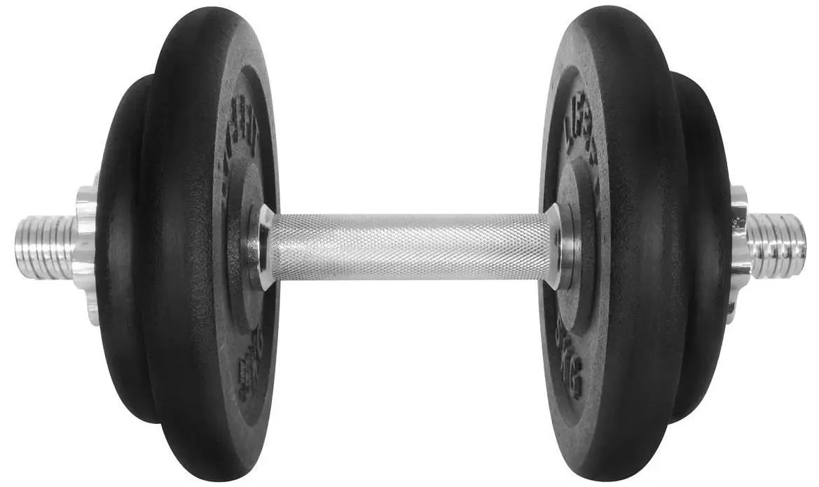 Гантель LifeFit F-CIN-17-3 17kg(Black/Silver)