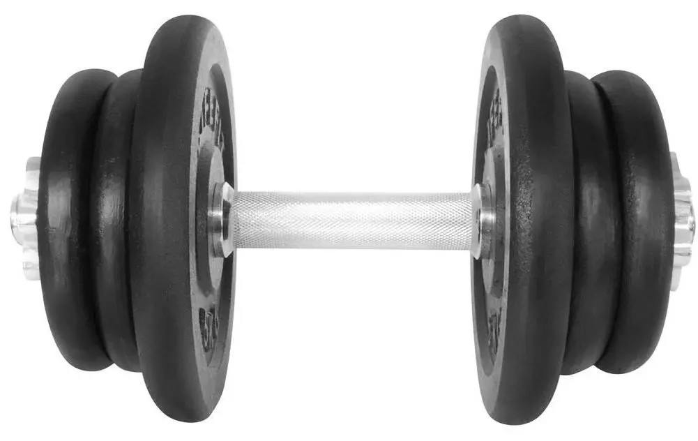 Гантель LifeFit F-CIN-22-3 22kg (Black/Silver)