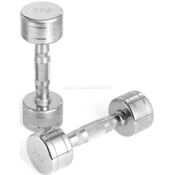 Гантель LiveUp MDPO2017/03/SR 3kg (Silver)