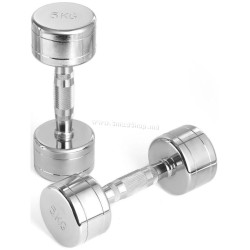 Гантель LiveUp MDPO2017/05/SR 5kg (Silver)
