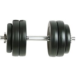 Gantere VidaXL 90235 30kg (Black) Thumb