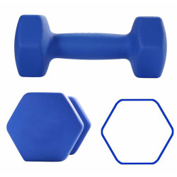 Набор гантелей OEM 7361-320 2х2kg (Blue) Thumb
