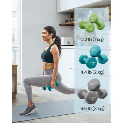 Набор гантелей Songmics SYL612GN 12kg (Multicolor) Thumb