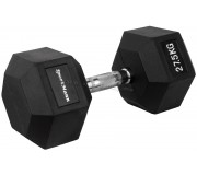 Гантель Sportmann SM1184 27.5 kg