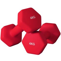 Gantera Sportnow A91-315V03RD 2x4kg (Red) Thumb