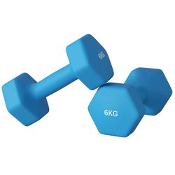 Gantera Sportnow A91-315V05LB 2x6kg (Blue)
