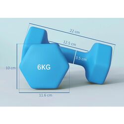 Gantera Sportnow A91-315V05LB 2x6kg (Blue) Thumb