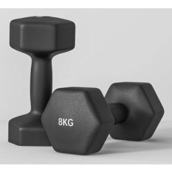 Gantera Sportnow A91-315V07BK 2x8kg (Black) Thumb