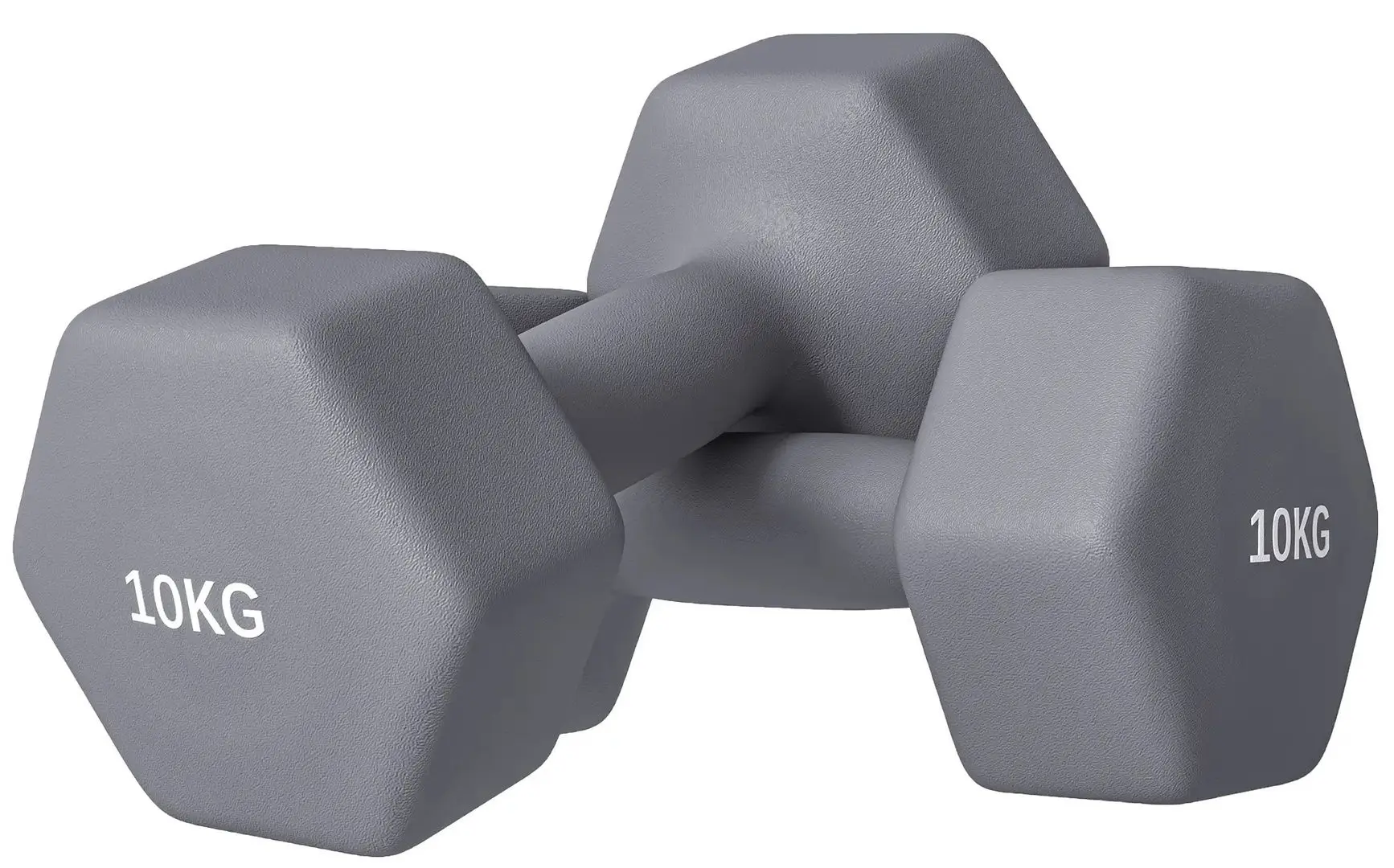 Gantera Sportnow A91-315V09GY 2x10kg (Grey)