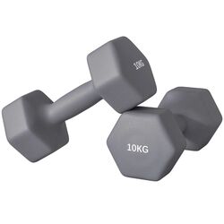 Gantera Sportnow A91-315V09GY 2x10kg (Grey)