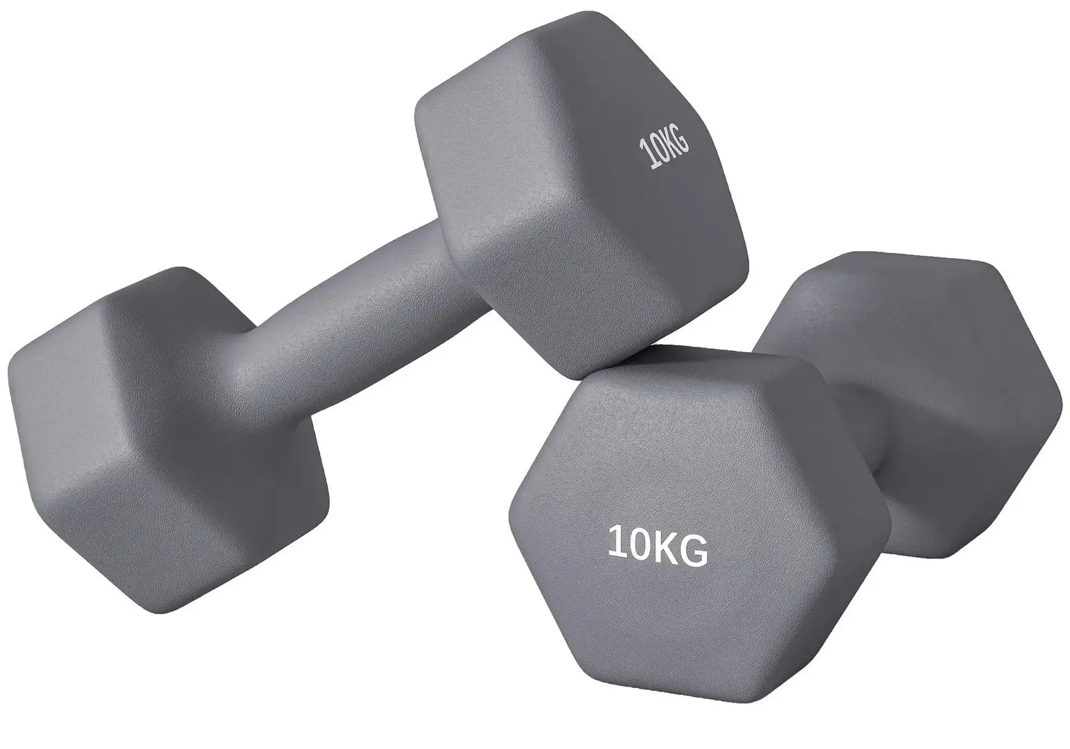 Gantera Sportnow A91-315V09GY 2x10kg (Grey)