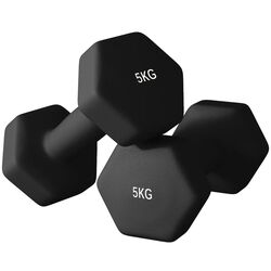 Gantera Sportnow A91-315V04BK 2x5kg (Black) Thumb