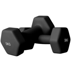 Gantera Sportnow A91-315V04BK 2x5kg (Black)