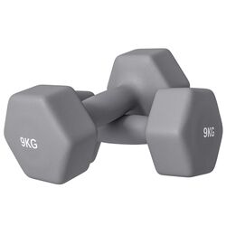 Gantera Sportnow A91-315V08GY 2x9kg (Grey) Thumb