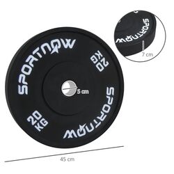 Набор дисков Sportnow A91-310V01BK 20kg (Black) Thumb