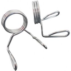 Bara Sveltus 1670 (Silver) Thumb