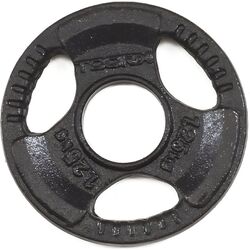 Диск олимпийский Toorx DGN-TG 1.25kg (Black)