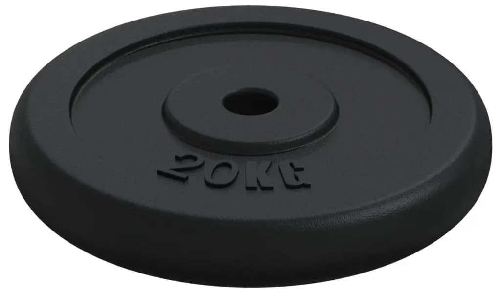 Диск олимпийский VidaXL 427714 2x20kg (Black) - 2