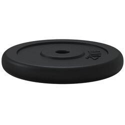 Диск олимпийский VidaXL 427714 2x20kg (Black) Thumb
