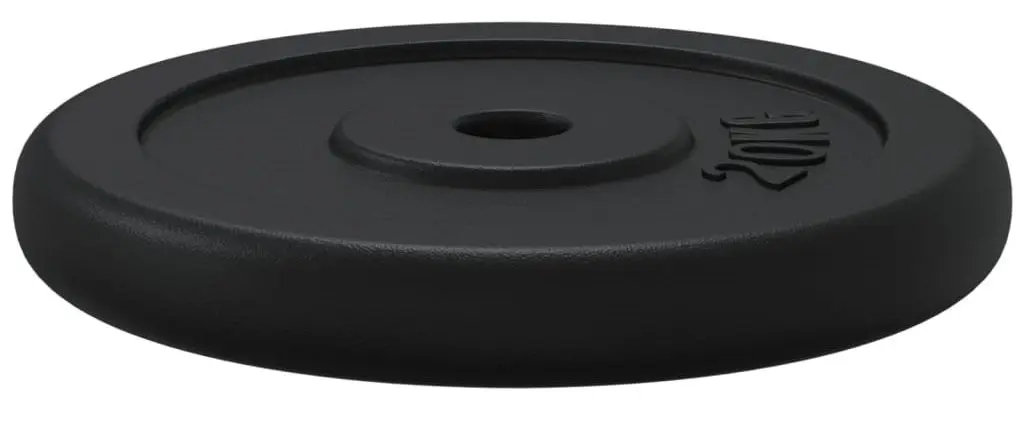 Диск олимпийский VidaXL 427714 2x20kg (Black) - 4