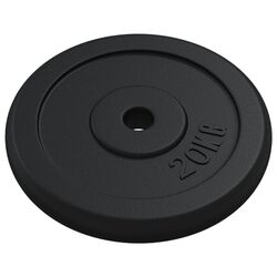 Диск олимпийский VidaXL 427714 2x20kg (Black) Thumb