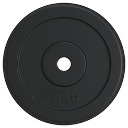 Диск олимпийский VidaXL 427714 2x20kg (Black) Thumb