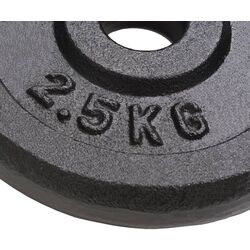 Диск олимпийский VidaXL 91391 20kg (Black) Thumb