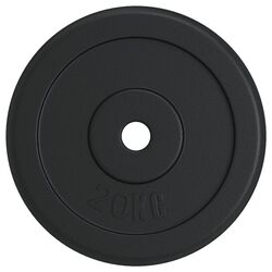 Диск олимпийский VidaXL 93643 20kg (Black)