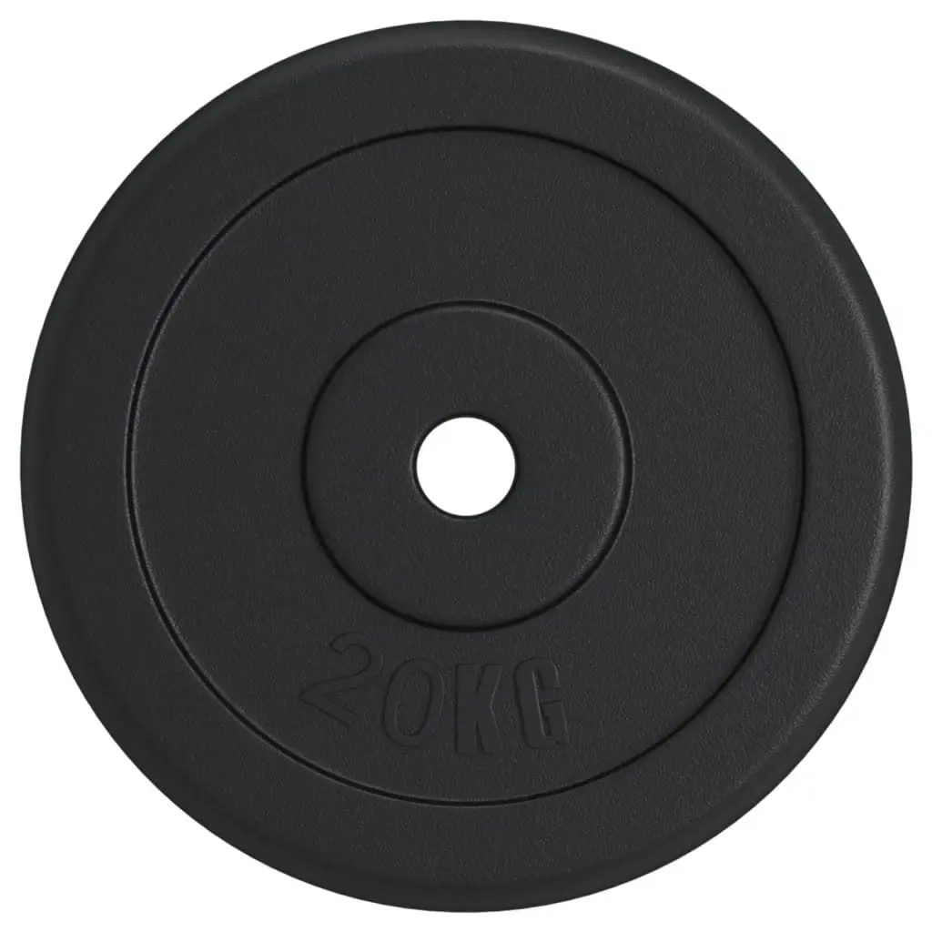 Диск олимпийский VidaXL 93643 20kg (Black)