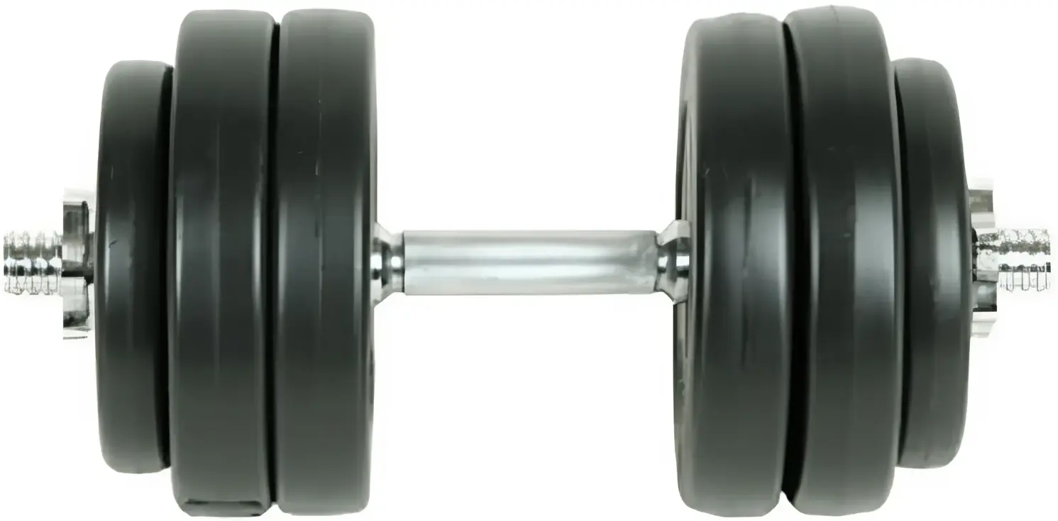 Gantera VidaXL 90236 15kg (Black)