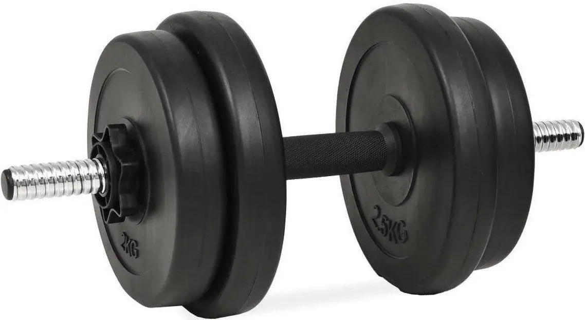 Gantere VidaXL 91407 20kg (Black)