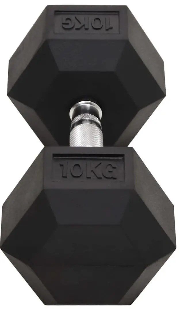 Gantere VidaXL 93604 2x20kg (Black)