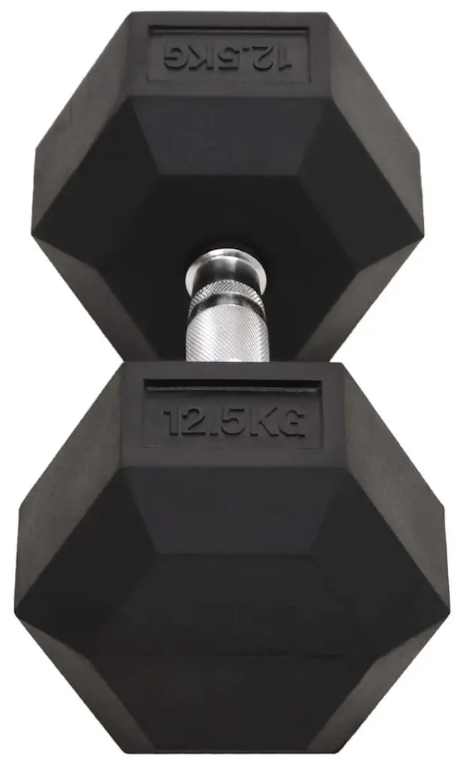 Gantere VidaXL 93605 2x12.5kg (Black)