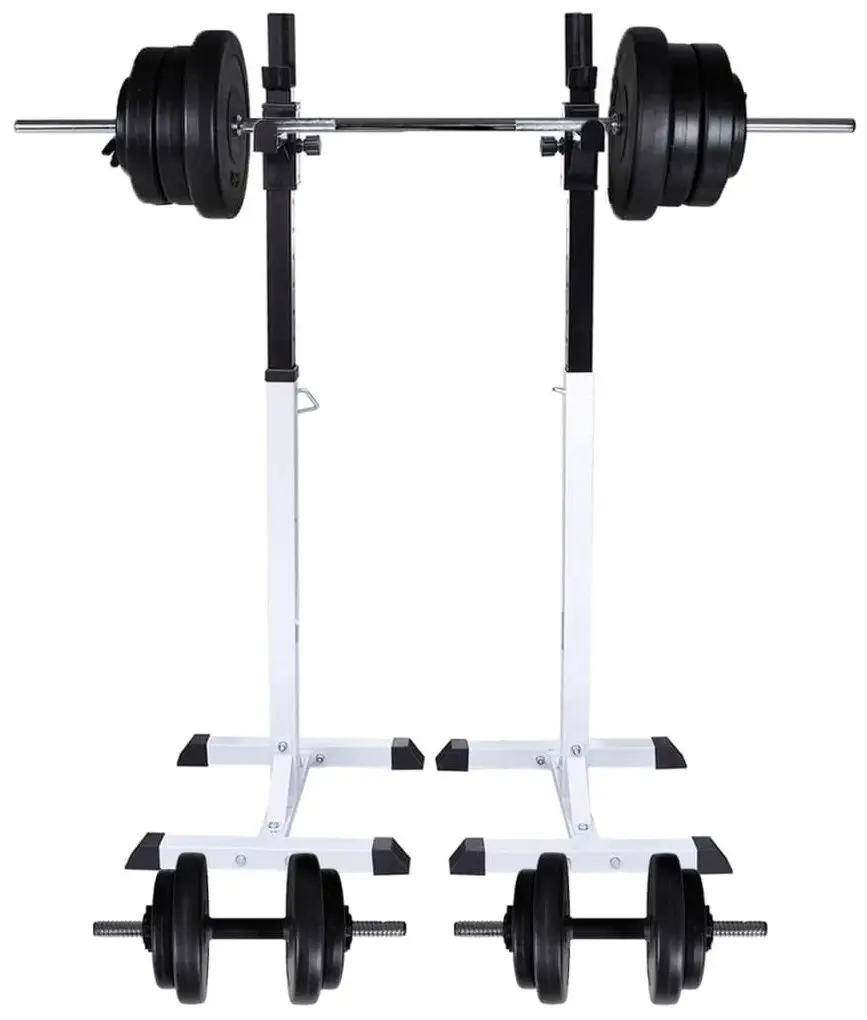 Set suport + haltere + gantere VidaXL 275349 (White/Black)