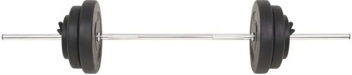 Haltera VidaXL 91398 30kg (Black)