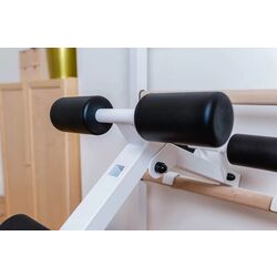 Шведская стенка BenchK 233W (White/Wood) Thumb